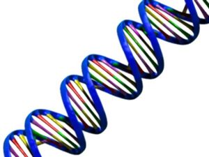 BH63-44-6989-圖2-blue-DNA